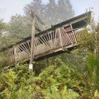 De Biesbosch National Park