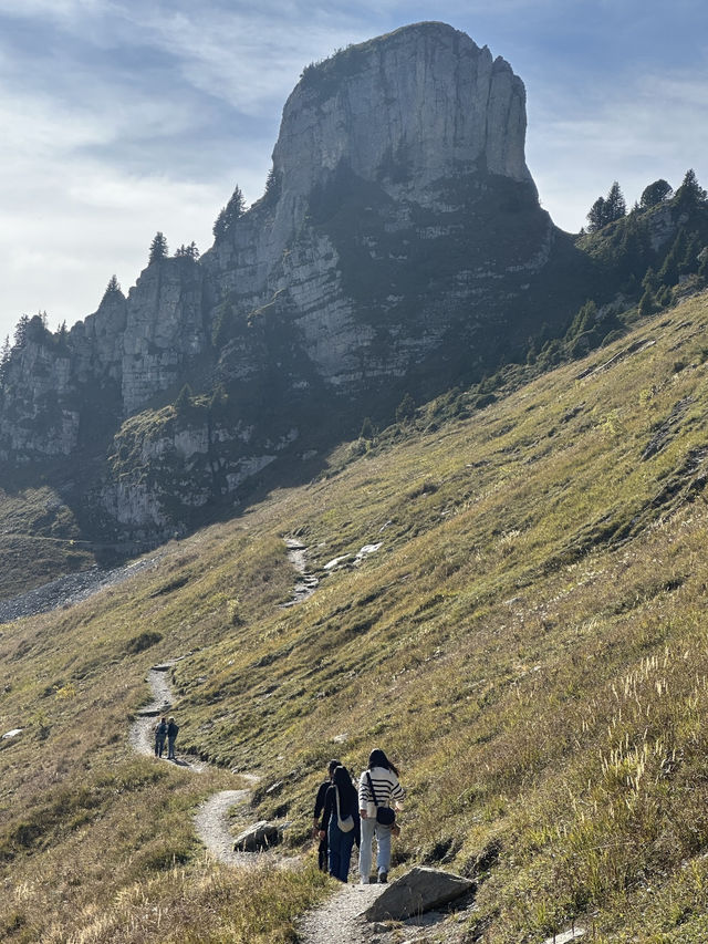Discover Alpine Beauty at Schynige Platte: A Hidden Gem of Switzerland