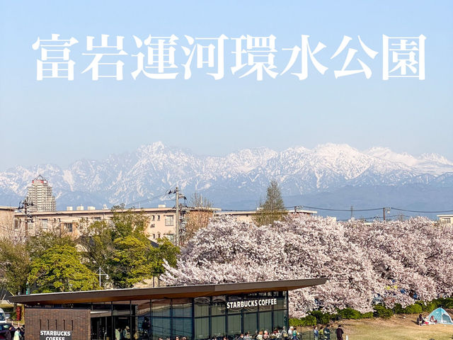 日本北陸櫻花絕景🌸 富岩運河環水公園