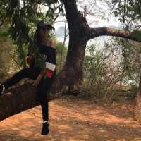 A visit to Kandawgyi National Gardens in Pyin Oo Lwin