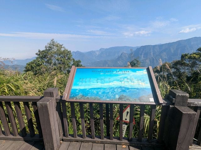奮起湖大凍山，杉林雲海之間的親山健行步道