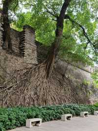 A short trip in Guangzhou