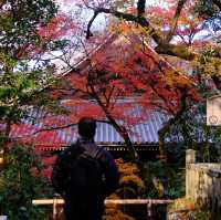 Kyoto - Eikando đừng nên bỏ qua