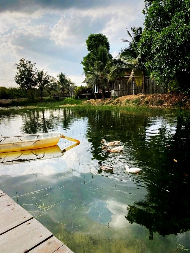 บ้านไร่ในฝัน-Banrainaifan 🍃🌸🌼