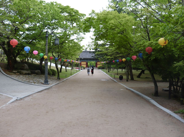 Spring at Bulguksa: Beyond Cherry Blossoms 🌸