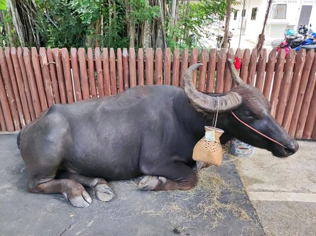 ค่ายบางระจัน สถานที่สำคัญประวัติศาสตร์ไทย