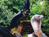 วัดป่าปากโดม