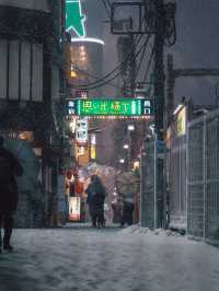 【新宿】雪の夜。カメラマンの視点で切り取る、幻想的な瞬間❄📷