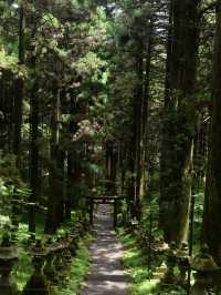 日本福岡一人遊｜在大自然和城市裏來去自如