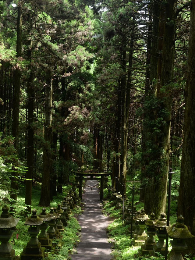 日本福岡一人遊｜在大自然和城市裏來去自如