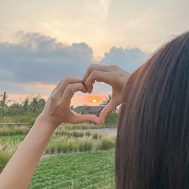 คาเฟ่น่ารักๆที่พัทยา 🌸🍃 𝗥𝗲𝗺𝗶𝗻𝗱 𝗖𝗮𝗳𝗲 