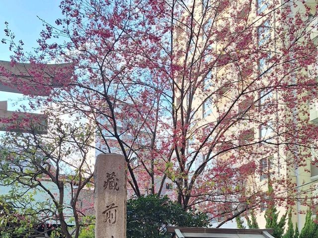 東京賞櫻🌸 藏前神社