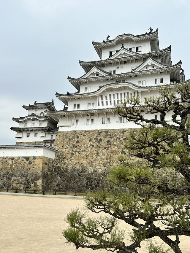 【兵庫×春旅】  日本三名城  白く美しい外観 「姫路城」