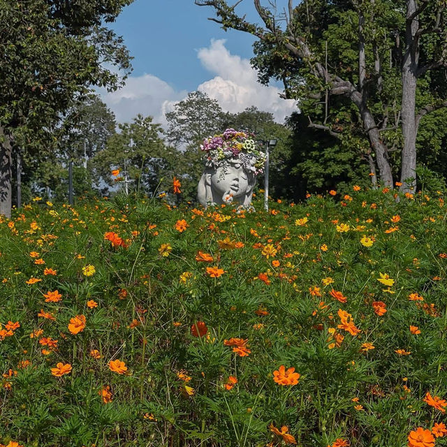Chaloem Phrakiat Park • Chiangmai  🌿🦖🌨️🌞🌷