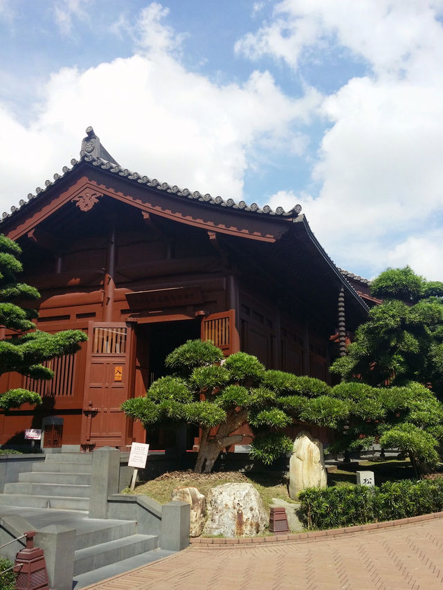 南蓮園池，鬧市中的靜土🌳
