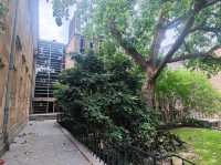 #雪梨大學The University of Sydney