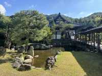 靜謐之美：探訪京都高台寺的歷史與風情