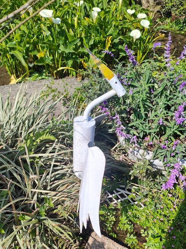 遠離塵囂忘憂好去處：陽明山苗榜海芋花園野菜餐廳🌿