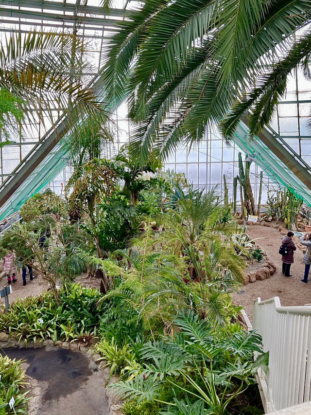 Spring Vibes in Hakodate: A Relaxing Visit to Hakodate Tropical Botanical Garden