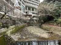 Arima Onsen Gekkoen Korokan Recommendation