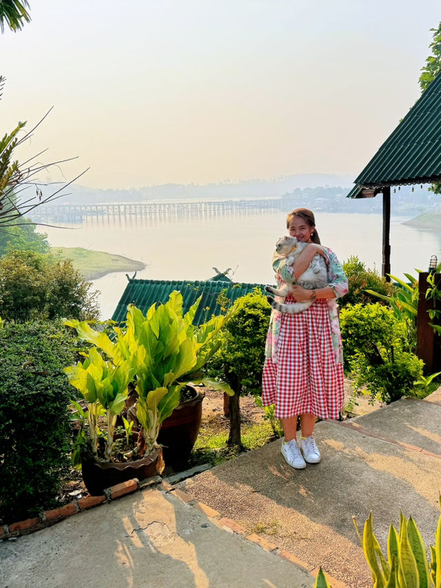 รีสอรท์ในสังขละบุรี ต้อนรับน้องแมว 