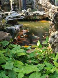 Qinghui Garden: A Timeless Oasis of Lingnan Elegance