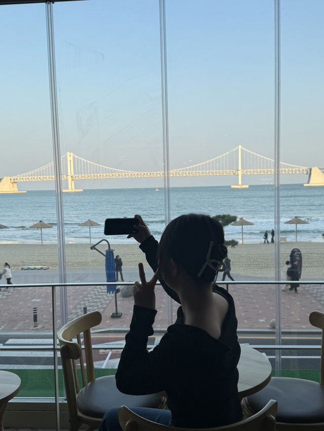 광안리의 봄, 바다와 벚꽃이 어우러진 낭만 가득한 시간 🌸🌊