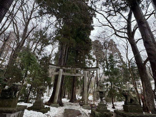 🌲【日本東北秘境！十和田湖四季絕景全攻略🌲🚤🍁】  