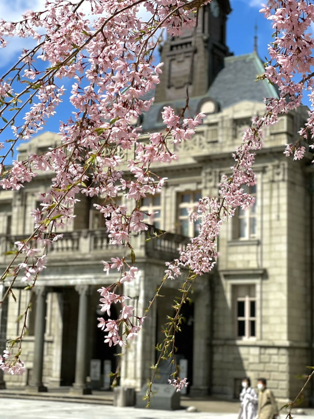 【山形×春旅】大正ロマン漂う旧県庁舎