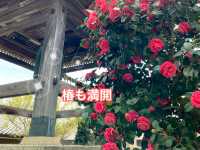 知多四国霊場巡りの旅　常楽寺
