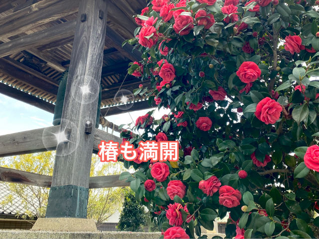 知多四国霊場巡りの旅　常楽寺