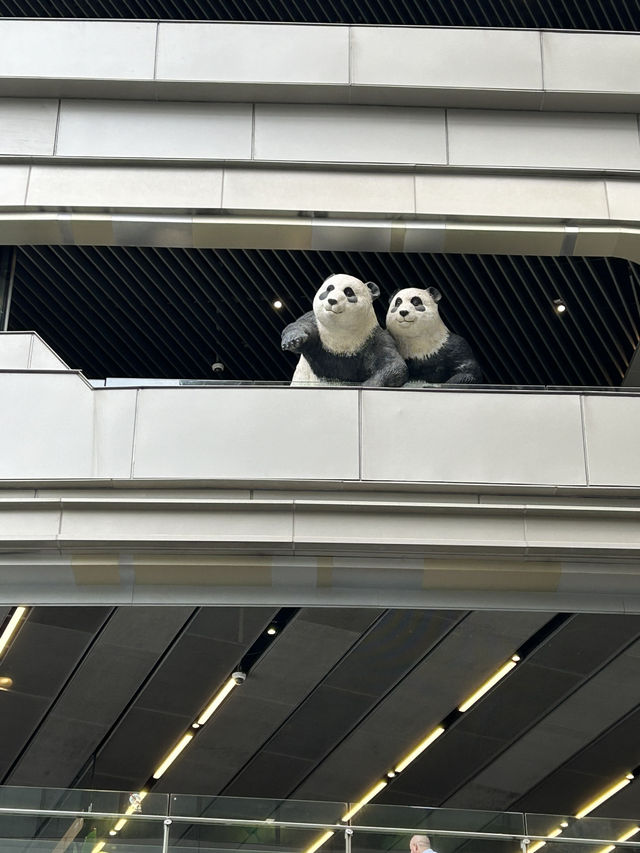 Shanghai 🥰