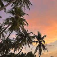 Maafushi Island ' 🌺🌴 ไปนอนเกาะโลคอลในประเทศมัลดี