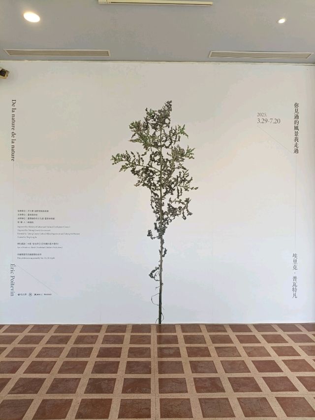 台東免費景點_台東美術館-期間限定送海報~