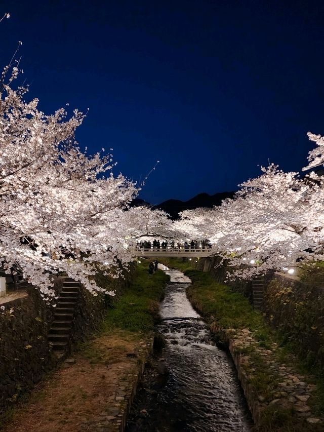 【山口グルメ】一の坂川・ラセーヌ