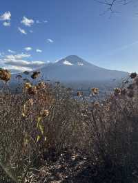 搭天上山公園纜車🚡鳥瞰河口湖嘆絕景富士山🗻