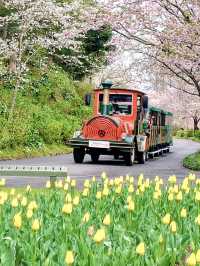 Spring Getaway: Hamamatsu Flower Park