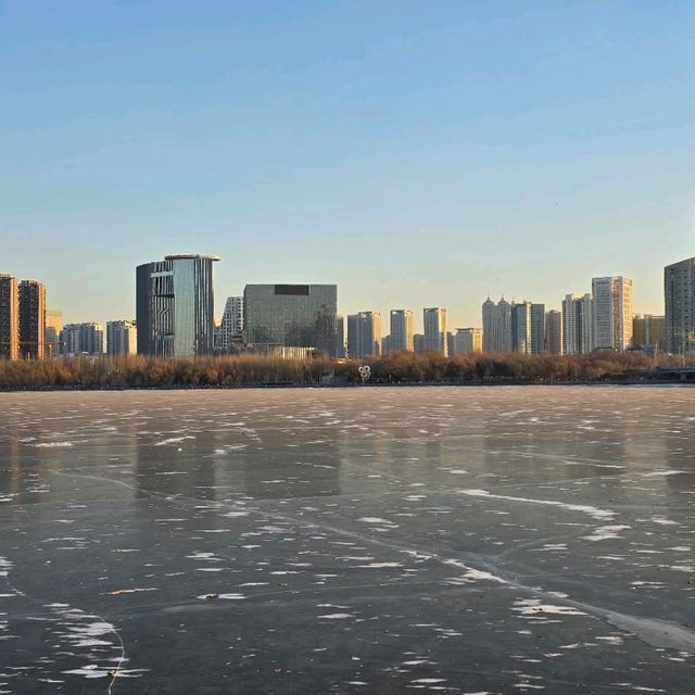 🇨🇳 동북의 최대도시 심양(沈阳)을 7박8일으로 여행하기