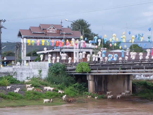 แม่สะเรียง เมืองในม่านหมอก ที่แม่ฮ่องสอน