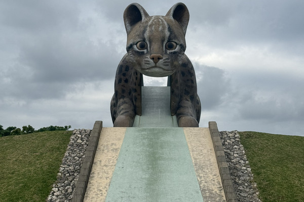 西表島でヤマネコと遊ぶ！？「ンママキーやまねこパーク」でほっこり