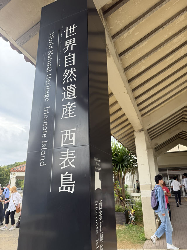 西表島の玄関口「大原港」：アクセスと周辺情報ガイド