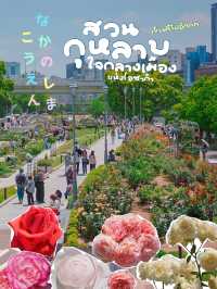 สวนกุหลาบกลางเมือง เข้าฟรี! ที่โอซาก้า🌹