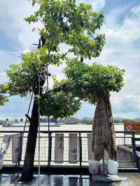 集合觀光、旅遊、文化和歷史的好去處