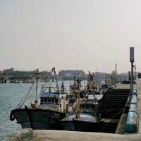 Chasing the Winds: An Epic Adventure at Gaomei Wetlands