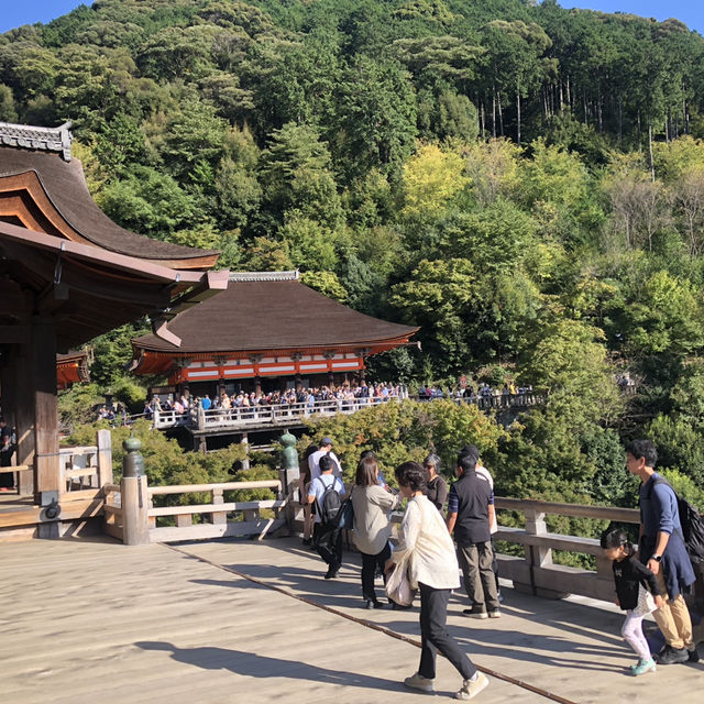 교토의 역사와 전통 “기요미즈데라”⛩️