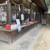 【山口県下関市長府🇯🇵忌宮神社】長府の中心に佇む歴史ある神社⛩️