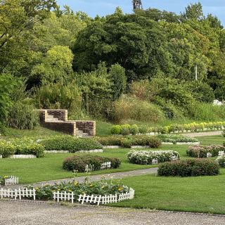 Suminoe Park Rose Garden