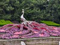 Shanghai Zhongshan Park – Where Century-Old History Meets Urban Oasis