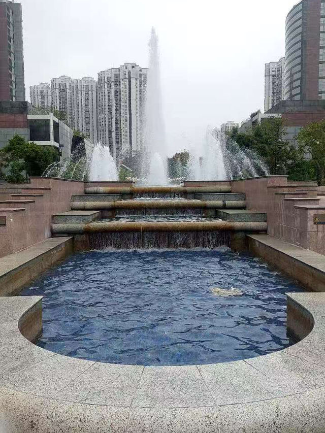 ✨城市中的自然美地✨🌴天水圍公園