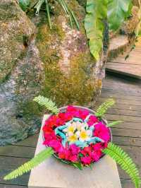 🌸The Secret Garden at The Farm at San Benito🌸